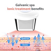 Machine de lifting galvanique micro-courant la plus vendue pour le visage et le corps, masseur facial électrique ABS Guasha anti-âge raffermissant la peau MC SPA