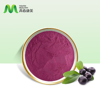 Halal Casher HACCP Certifié ISO Acai Berry Poudre Brésil Extrait de plantes dans l'emballage du tambour
