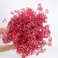 Bunga Baby Breath kering bunga Gypsophila dinding bunga Baby Breath buket bunga kering lengkungan pernikahan