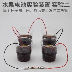 Fruit Battery Experiment Kit Materials: <b>Copper</b> <b>Sheets</b>, Zinc <b>Sheets</b>, Scientific DIY Homemade Fruit, Potato, Salt Water, Cola - Product Image 3