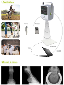 China Medische Mobiele Draagbare 5kw Radiologie Apparatuur <span class=keywords><strong>X</strong></span>-<span class=keywords><strong>Ray</strong></span> Digitale Veterinaire Dier <span class=keywords><strong>X</strong></span> <span class=keywords><strong>Ray</strong></span> Machine - Product Image 5