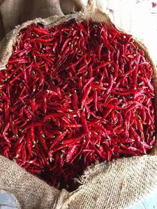 Piments rouges séchés 500g, épices naturelles pour la cuisine, séchage, broyage, stockage à sec, durée de conservation 12 mois - Product Image 3
