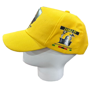 <span class=keywords><strong>T</strong></span>-shirt da uomo personalizzate stampate, 100% poliestere, ecologiche, ad asciugatura rapida, casual, per la campagna elettorale presidenziale dello Zimbabwe |   <span class=keywords><strong>ED</strong></span> - Product Image 6