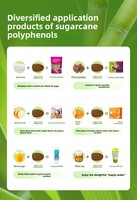Matière première alimentaire : Polyphénols de canne à sucre à 20 %, extrait de canne à sucre, nouvelle ressource alimentaire, régulateurs d'acidité en stock