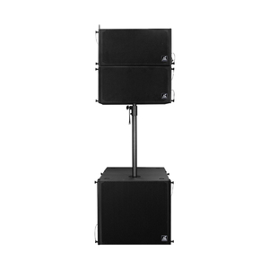 Haut-parleurs audio professionnels, système linéaire de 10 pouces, haut-parleur haute performance Lh110-lh118, haut-parleur linéaire de 10 pouces - Product Image 5