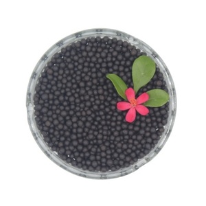 Wellagri NPK12-0-1 Fertilizante Orgánico de Alta Calidad en Gránulos Negros, Apto para Verduras y Frutas - Product Image 1