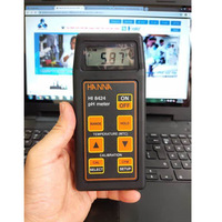 pH-mètre Hanna Hi8424 avec mesure de température et de redox pour laboratoire et analyse de l'eau