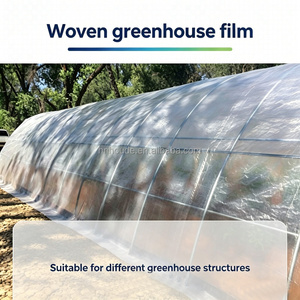 Film de serre tissé <span class=keywords><strong>anti</strong></span>-pluie acide, bâche transparente imperméable, protection UV, épaisseur personnalisable, découpe sur mesure - Product Image 2
