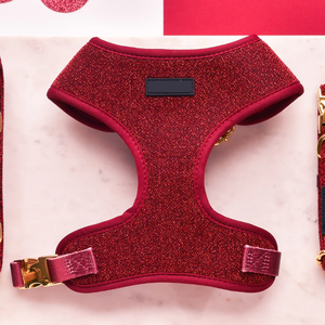 Set kerah anjing dan tali anjing desain khusus dengan kain mengkilap poliester lembut merah Harness anjing Set - Product Image 1