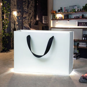 Bolsa de Papel de Regalo de Lujo Biodegradable Personalizada Flying Win para Pequeñas Empresas con Logotipo Propio para Ropa - Product Image 3