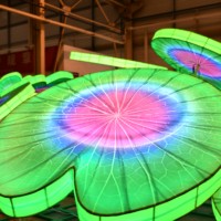 Linternas LED de Seda Chinas Impermeables con Formas de Plantas, Decoraciones para Festivales al Aire Libre, Halloween/Día de Acción de Gracias/Navidad/Año Nuevo