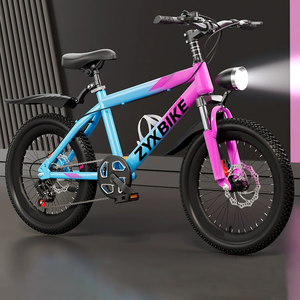 Vélo de montagne pour enfants de 20 pouces, cadre robuste, système de freinage de sécurité, usine OEM - Product Image 2