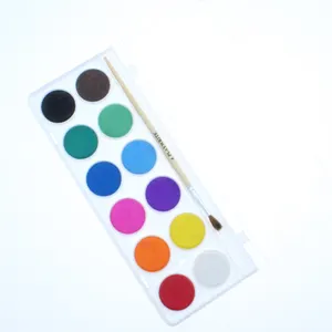 MIYA HIMI Water Color Solid Palette -Portable Travel Watercolor Paint –  AOOKMIYA