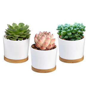 Dropshipping vasi succulenti da 3.31 pollici <span class=keywords><strong>in</strong></span> <span class=keywords><strong>ceramica</strong></span> piccoli vasi succulenti con drenaggio bianco succulento fioriere vasi da fiori per <span class=keywords><strong>piante</strong></span> - Product Image 1