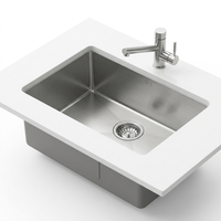 Évier de cuisine sous plan en acier inoxydable, évier de buanderie à cuve unique avec panier de vidange et robinet pour garage et camping-car