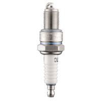 Tronçonneuse Jardin Bujias CR9E F5TC F6TC F7TC BM6A A7TC 168F 170F E6TC 152F 154F GX35 Bougies D'allumage Pour Moto 2 Temps
