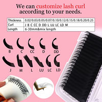 Extensions de cils coréennes de haute qualité, plateaux d'extensions de cils individuels en soie, personnalisation gratuite disponible