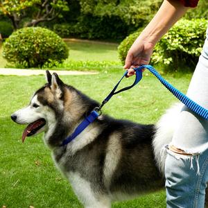 Laisse rétractable réfléchissante portable pour reptiles avec motif imprimé et décoration foulard en nylon, utilisable comme ceinture de sécurité pour voiture - Product Image 2