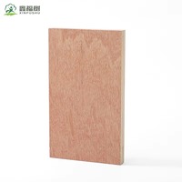Contrachapado de Álamo de Grado E1 de 18 mm con Superficie Lisa, Tablero Comercial Económico para Muebles y Construcción General