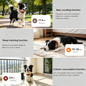 Long Battery Lightweight Dog Rechargeable Real Time Mini Pet <strong>Tracking</strong> <strong>Device</strong> GPS Dog <strong>Cat</strong> Collar Locator Tracker Collar for <strong>Cats</strong> - Product Image 3