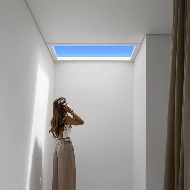 Dimmable Virtual Artificial LED Sunroof Simulator WIFI/programmable Controller with Intelligent Function Ceiling Light