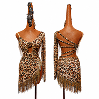 Robe de danse latine pour femmes à imprimé léopard, avec franges en strass, manches longues, costume de compétition de danse de salon et de salsa