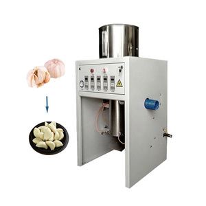 Décortiqueuse d'ail industrielle automatique de haute qualité 1000 kg pour ail entier et en morceaux, prix Chine - Product Image 2