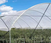 Serre tunnel familiale compacte ZHUOTAI en film PE résistant aux UV, installation facile, tubes galvanisés, fabriquée en Chine pour fraises et fleurs