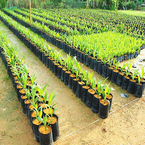 Sac de plantation de légumes à effet de serre en poly pots de culture de jardin noirs sacs de jardinière en plastique <span class=keywords><strong>horticole</strong></span> - Product Image 6