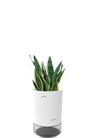 Mini pots et jardinières pour jardin d'intérieur, serre, semis, légumes, fleurs - Gobelets de croissance pour un entretien facile