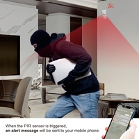 Tuya WiFi capteur de mouvement intérieur Anti-vol détecteur de mouvement d'alarme infrarouge capteur PIR Smart Life APP Protection de sécurité