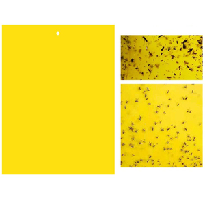 กับดักแมลงในร่มแบบติดกระถาง ขนาดเล็ก แรงยึดติดสูง สำหรับควบคุมแมลงหวี่ - Product Image 5