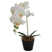 Orchidée artificielle réaliste de haute qualité en pot, style bonsaï, pour décoration de maison et de remise de diplôme
