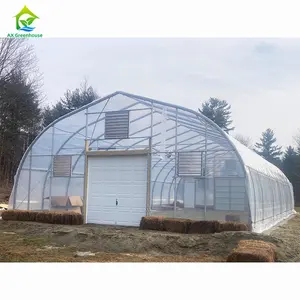 Chinese Factory Customized Single Span Low Coat Strawberry Tomato Greenhouse Kit Tunnel For Agriculture