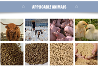 Machine à granulés d'aliments entièrement automatique 1500-2000 kg/h - Équipement de production de granulés d'aliments pour animaux et volailles pour usage agricole