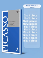 Crayons de dessin et d'esquisse pour artistes PICASSO 2H/H/HB/B/2B/3B/4B/5B/6B/7B/8B/9B, dureté mixte, 12 par boîte, en bois de tilleul, mine noire, numériques