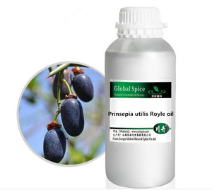 Prinsepia huile essentielle Pure Prinsepia Utilis Royle huile largement utilisée dans la peau, les soins de santé - Product Image 2