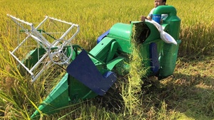 Heißer verkauf fabrik liefern Mini reis mähdrescher mit crawler