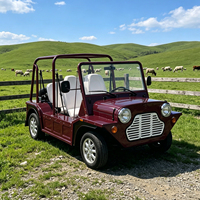 Voiture électrique Moke personnalisée, couleur au choix, batterie lithium 96V, buggy de plage rétro, châssis tout aluminium, véhicule de villégiature