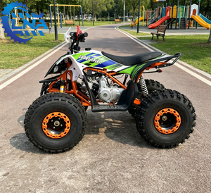 <span class=keywords><strong>รถ</strong></span>เอทีวีสี่ล้อ LNA <span class=keywords><strong>ราคา</strong></span>ประหยัด 125 ซีซี ดูแลรักษาง่าย เหมาะสำหรับให้เช่าสำหรับนักท่องเที่ยว - Product Image 5