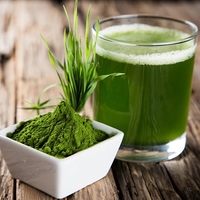 Poudre d'herbe d'orge 100% naturelle super biologique, extrait pour thé minceur, frais, cuite à la vapeur, emballée sous vide, en vrac, certifiée ISO