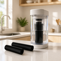 Bloc filtrant à eau pour réfrigérateur en charbon actif de noix de coco NSF61 pour usage domestique et hôtelier, élimination du plomb, des cystes et du mercure