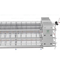 Cage à batterie de type A pour poules pondeuses, cages automatiques pour poulets, équipement d'élevage avicole pour pondeuses
