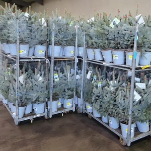 Malla Elástica Transpirable para Paletización al por Mayor, para Productos Frescos, <span class=keywords><strong>Leña</strong></span> e Industria - Product Image 3