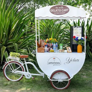 Street Mobile Coffee Bubble Tea Kiosk New Design Cargo Bike Coffee Bike 3 Wheel Coffee Bike