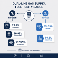 Generador de Nitrógeno PSA Montado en Plataforma con PLC, HMI, Compresor de Aire, Secador, Filtro, Sistema Completo de Gas Industrial