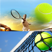 Balles de tennis personnalisées, durables, écologiques, portables, à haute élasticité et avec impression de logo pour les clubs de tennis sportifs (vente en gros)