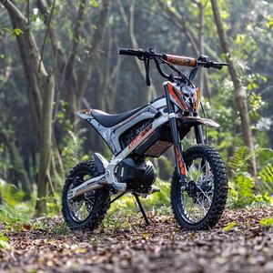 Bicicleta eléctrica todoterreno EU Warehouse, 48V 20.8Ah, batería de alta capacidad, estilo moderno, 50km/h, motocicleta eléctrica para adultos - Product Image 1