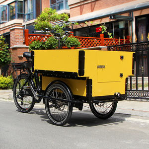 Pédale Électrique Néerlandais Adulte <span class=keywords><strong>Tricycle</strong></span> 3 Roues Vélo Cargo Famille Vélo Enfants Scooter Rue Distributeur Panier À Vendre - Product Image 1