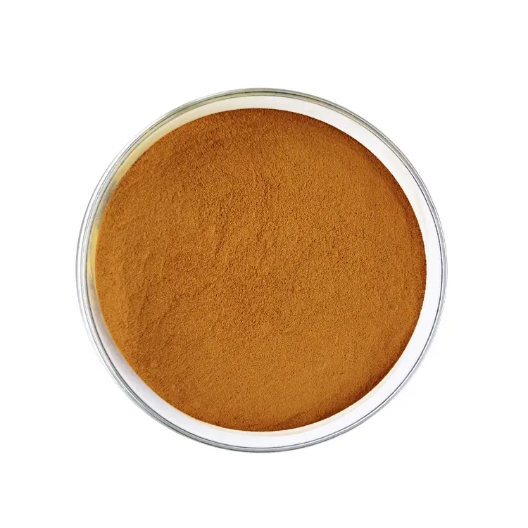 Wholesale Organic Quality Raw Material Lions Mane Mushroom Extract Powder